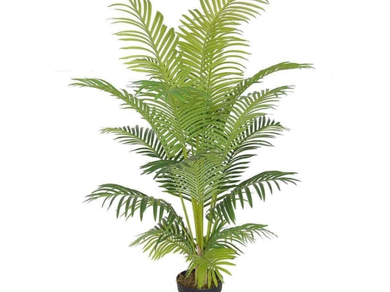 Τεχνητό Δέντρο Αρέκα 2960-6 65x65x150cm Green Supergreens Πολυαιθυλένιο