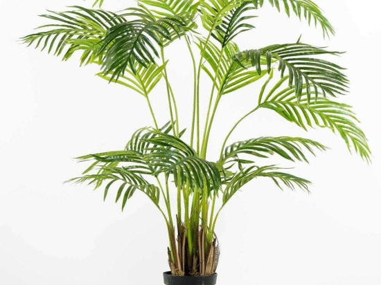 Τεχνητό Δέντρο Αρέκα 8130-6 70x70x140cm Green Supergreens Πολυαιθυλένιο
