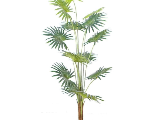 Τεχνητό Δέντρο Πιτσάρδια 5350-6 60x60x150cm Green Supergreens Πολυαιθυλένιο