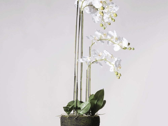 Τεχνητό Φυτό Ορχιδέα Με Βάση Moss 3170-6 39x25x85cm White Supergreens Πολυαιθυλένιο