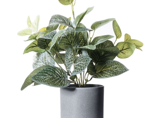 Τεχνητό Φυτό Πόλκα 2460-6 27x27x36cm Green Supergreens Πολυαιθυλένιο