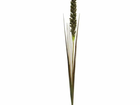 Τεχνητό Κλαδί Κινόα 4970-7 100cm Green Supergreens Πολυέστερ