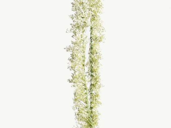 Γιρλάντα Γυψοφύλλη 3210-7 180cm White Supergreens Πολυαιθυλένιο