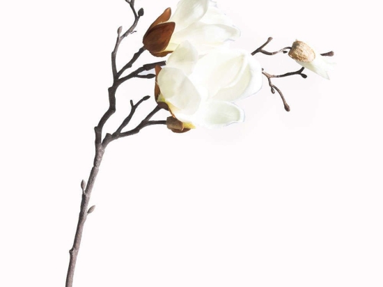 Τεχνητό Κλωνάρι Μανόλια 2380-7 50cm White Supergreens Πολυαιθυλένιο