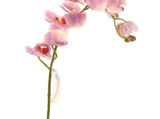 Τεχνητό Κλωνάρι Ορχιδέα 5380-7 75cm White-Purple Supergreens Πολυαιθυλένιο