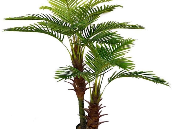 Tεχνητό Δέντρο Φοίνικας Coconut 8970-6 180cm Brown-Green Supergreens Πολυαιθυλένιο