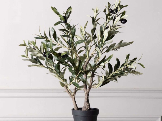 Τεχνητό Δέντρο Ελιά 7580-6 40x40x70cm Green Supergreens Πολυαιθυλένιο