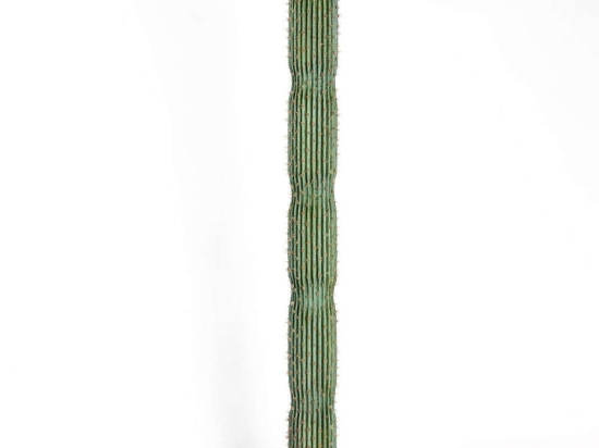 Τεχνητό Δέντρο Εφόρμπια Mili 9780-6 163cm Green Supergreens Πολυαιθυλένιο