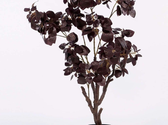 Τεχνητό Δέντρο Φίκος 3440-6 140x138cm Brown Supergreens Πολυαιθυλένιο,Ύφασμα