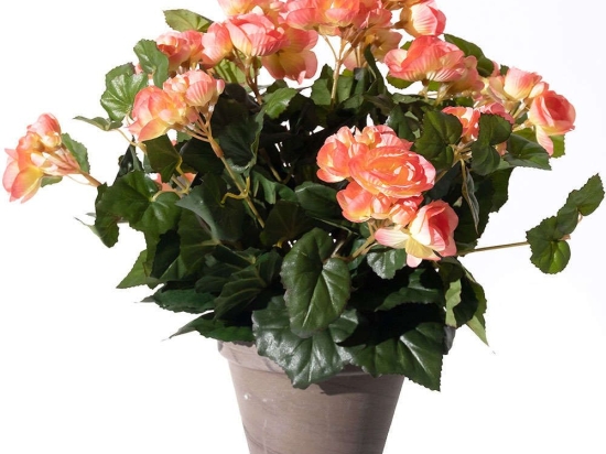 Τεχνητό Φυτό Μπιγκόνια 5290-6 36x36x37cm Pink Supergreens Πολυέστερ