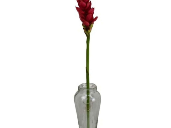 Τεχνητό Λουλούδι Τζίντζερ 2961-7 86cm Red Supergreens Πολυαιθυλένιο,Ύφασμα