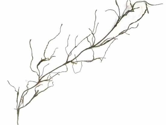 Τεχνητή Γιρλάντα Αποξηραμένη Frostwood 1981-7 220cm Brown Supergreens Ύφασμα,Πλαστικό