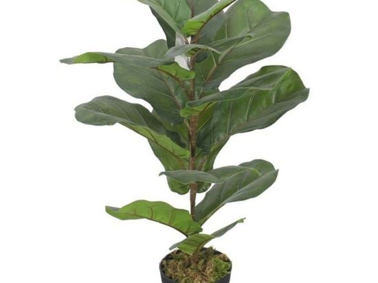 Τεχνητό Φυτό Φίκος Λυράτα 0101-6 90cm Green Supergreens Πολυαιθυλένιο,Ύφασμα