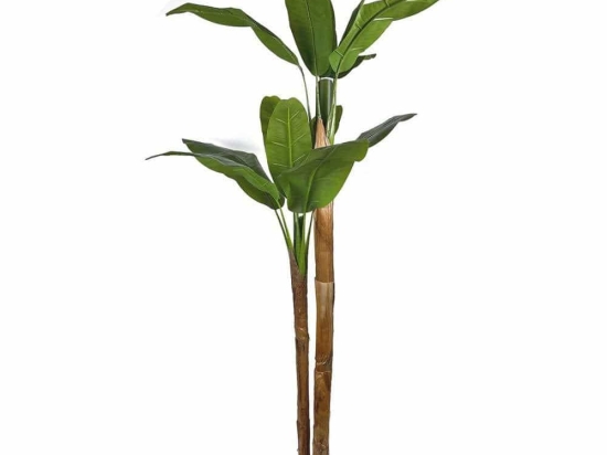 Τεχνητό Δέντρο Μπανανιά Musa Arbor 4411-6 200cm Green-Brown Supergreens Πλαστικό, Ύφασμα