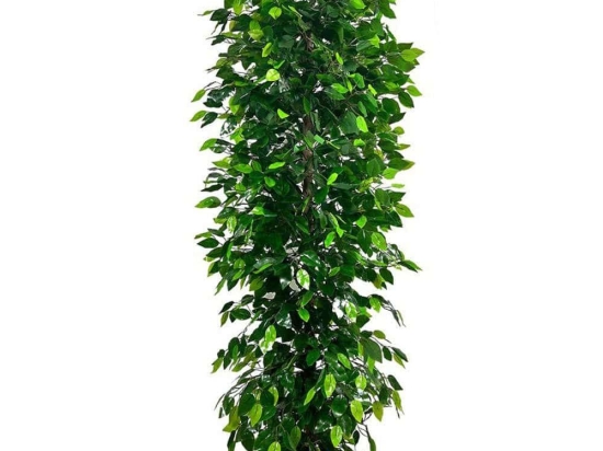 Τεχνητό Δέντρο Συκιά Anus 4511-6 180cm Green Supergreens Πλαστικό, Ύφασμα