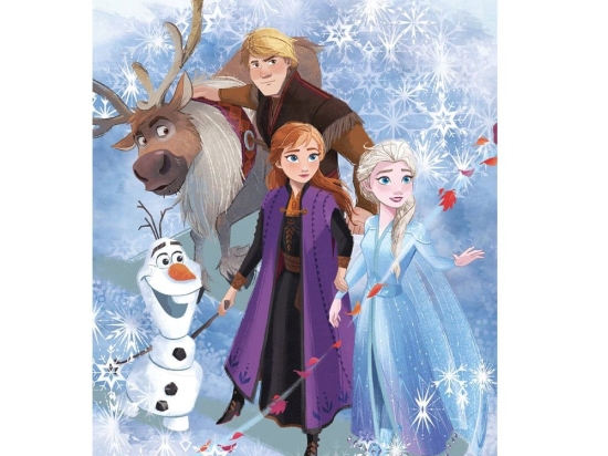 Κουβέρτα Βρεφική Fleece Polyester Frozen 21 Digital Print Disney DimCol Κούνιας 100x150cm Πολυέστερ