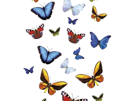 Διακοσμητικά Αυτοκόλλητα Butterfly 1907 15x23,5cm Multicolor Kleine Wolke Πλαστικό