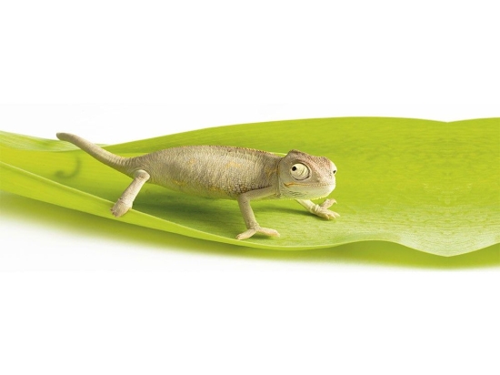 Διακοσμητικά Αυτοκόλλητα Chameleon 1919 23x68cm Green Kleine Wolke Πλαστικό