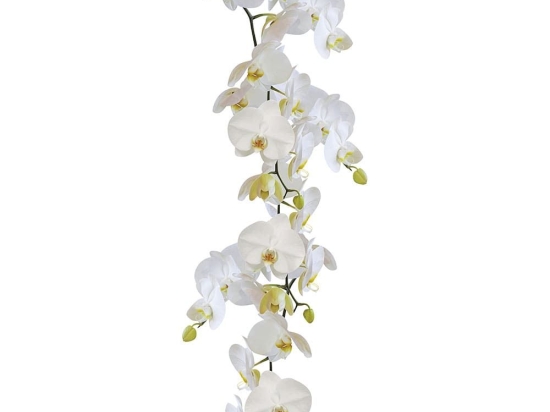 Διακοσμητικά Αυτοκόλλητα Orchid 1903 23x68cm White Kleine Wolke Πλαστικό