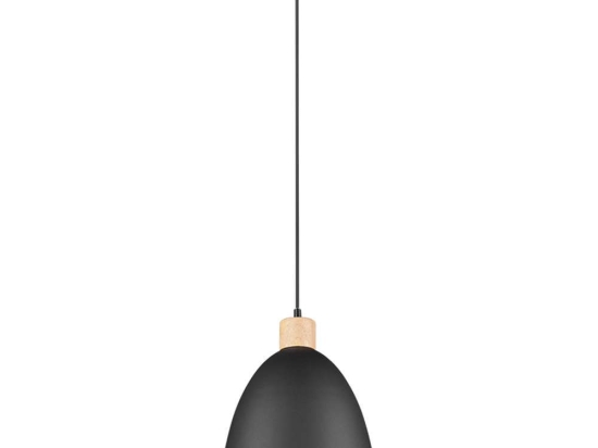 Φωτιστικό Οροφής Jagger R30681032 1xE27 40W Φ25cm 150cm Black Mat RL Lighting Μέταλλο