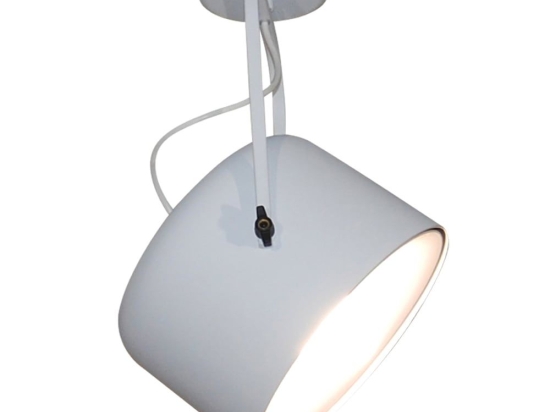 Φωτιστικό Οροφής Spot HL-3599-1S 77-4230 Archie White  Homelighting Μέταλλο