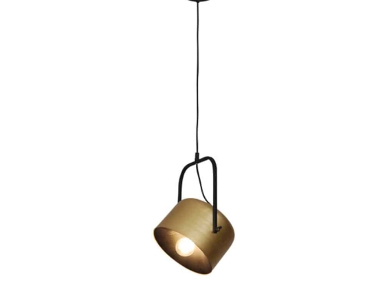 Φωτιστικό Οροφής Κρεμαστό Archie HL-3599-1S-C 21x120cm E27 60W Gold Homelighting Μέταλλο