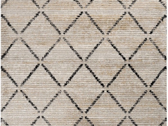 Χαλί Etro 35797-060 Beige-Black Merinos 160X230cm