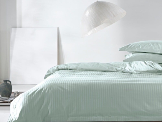 Παπλωματοθήκη Regina 10 (Σετ 3τμχ) Light Green Kentia King Size 260x240cm 100% Βαμβακοσατέν