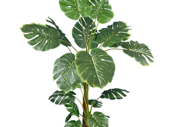 Τεχνητό Δέντρο Monstera 20007 Φ120x160cm Green-Brown Globostar Πολυαιθυλένιο,Ύφασμα