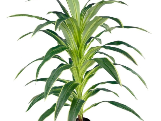 Τεχνητό Δέντρο Brazilian Iron 20020 Φ80x140cm Green-Brown Globostar Πολυαιθυλένιο,Ύφασμα