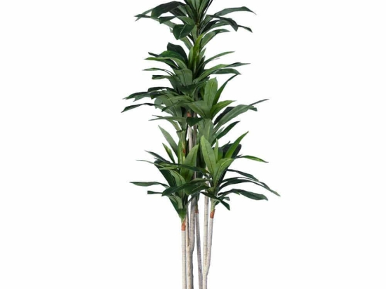 Τεχνητό Δέντρο Dracaena Silk 20044 Φ70x170cm Beige-Green GloboStar Πολυαιθυλένιο,Ύφασμα