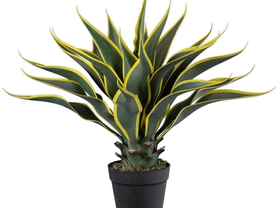 Τεχνητό Φυτό Sisal Agave 20081 Φ50x60cm Multi GloboStar Πολυαιθυλένιο