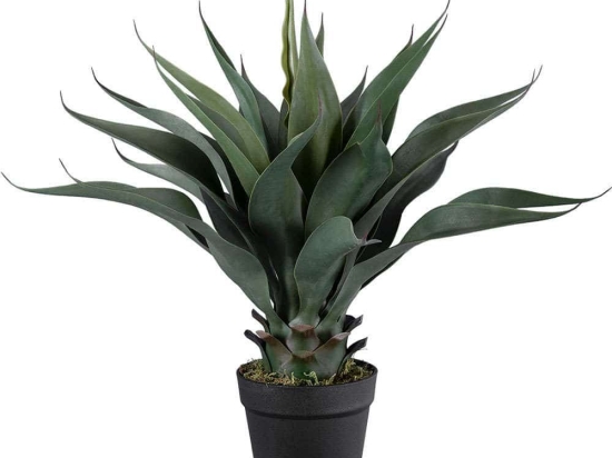Τεχνητό Φυτό Sisal Agave 20080 Φ50x60cm Green-Brown GloboStar Πολυαιθυλένιο