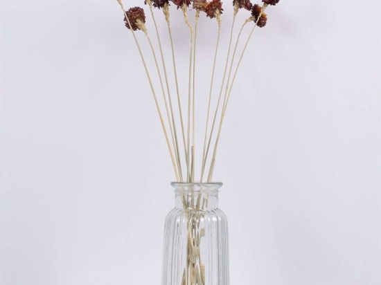 Μπουκέτο Αποξηραμένων Κλαδιών Strawflower 36530 60cm (Ακαθόριστος Αριθμός Τμχ) Beige-Red Globostar
