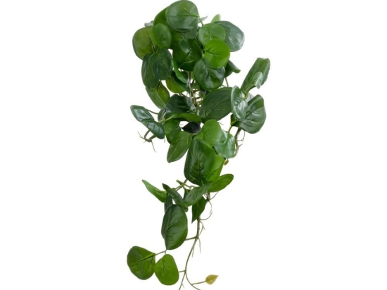 Τεχνητό Φυτό Κρεμαστό Πεπερόμια 20599 30x31x50cm Green GloboStar Πλαστικό, Ύφασμα