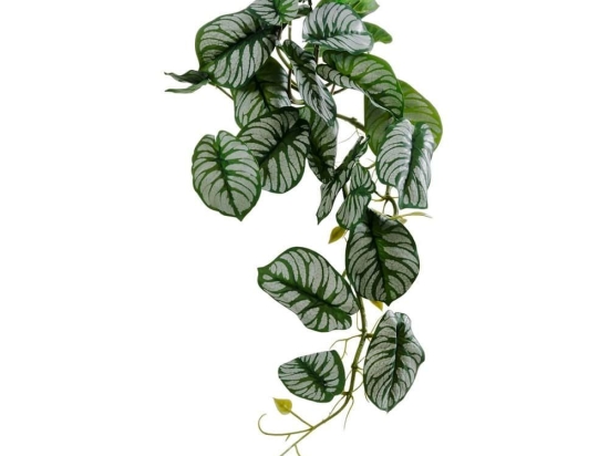 Τεχνητό Φυτό Κρεμαστό Αλοκάσια 20601 28x27x50cm Green GloboStar Πλαστικό, Ύφασμα