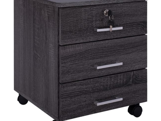 ΣΥΡΤΑΡΙΕΡΑ ΓΡΑΦΕΙΟΥ HAYDEN HM2282.01 ΣΕ ΑΝΘΡΑΚΙ ΧΡΩΜΑ 39.5x40x46.5Υεκ