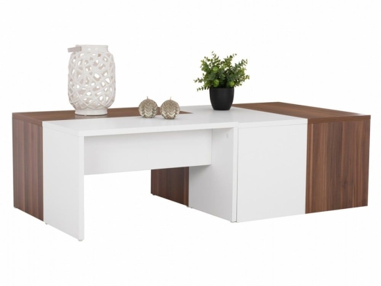 Τραπεζάκι Σαλονιού Karsyn HM9158 120x60x35cm Walnut -White Μελαμίνη