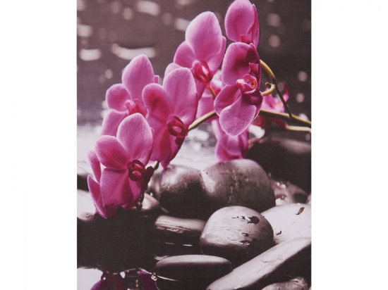 ΠΙΝΑΚΑΣ ΚΑΜΒΑΣ PINK ORCHID HM7154.12 60X90X2.5 εκ.