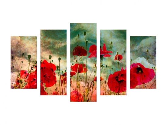 ΠΙΝΑΚΑΣ ΠΕΝΤΑΠΤΥΧΟ MDF POPPY FIELD HM7206.03 100X0,3X60 εκ.