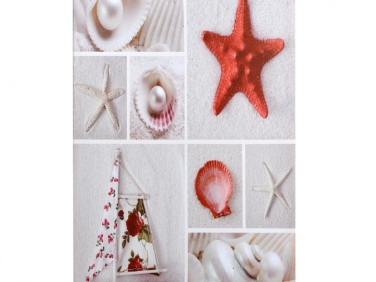 ΠΙΝΑΚΑΣ ΚΑΜΒΑΣ HM7088 RED STARFISH 40X60