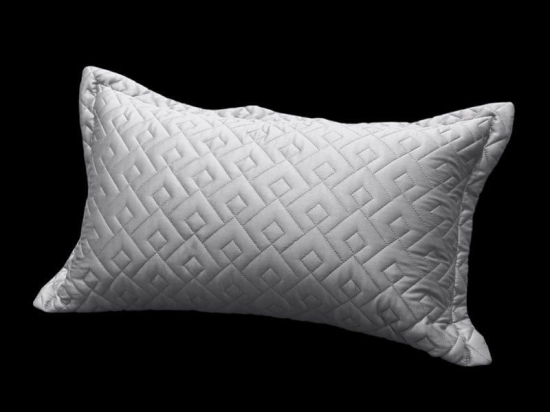 Μαξιλαροθήκη Διακοσμητική Conte Silver Guy Laroche 30X50 30x50cm Microsatin