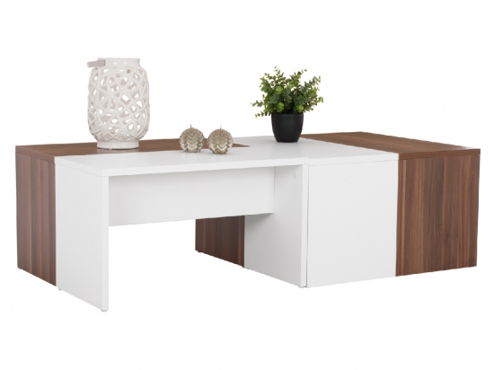 ΤΡΑΠΕΖΙ ΣΑΛΟΝΙΟΥ KARSYN ΚΑΡΥΔΙ-ΛΕΥΚΟ HM9158 120x60x35 εκ.