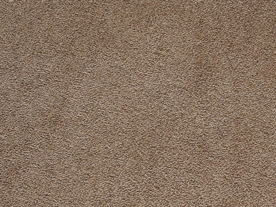 Χαλί Sweet 72 Brown Colore Colori 250X300cm