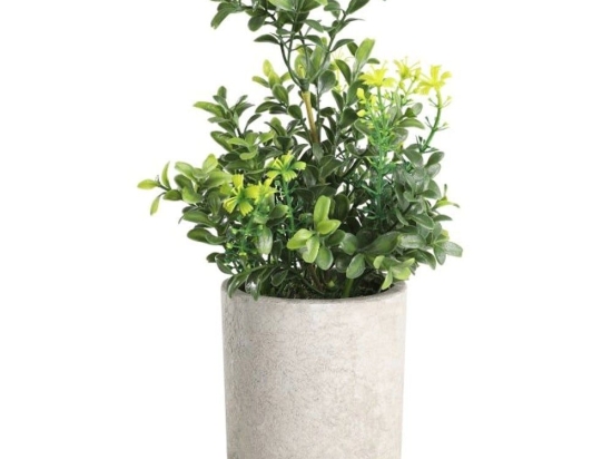 Τεχνητό Φυτό Σε Κασπώ 428025 Φ15x25cm Green Eglo Πλαστικό