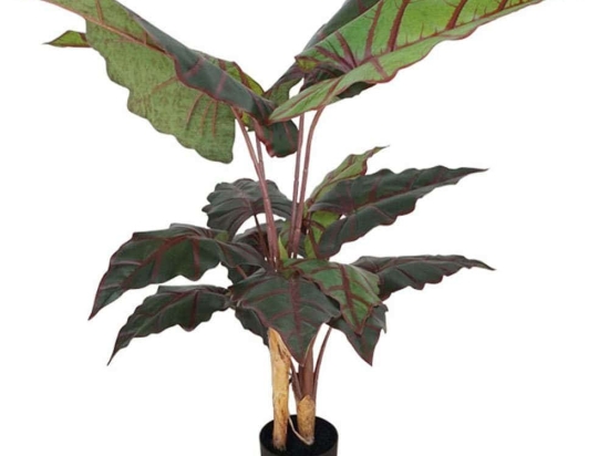 Τεχνητό Φυτό Σε Γλάστρα Αλοκάσια 04-00-18806 120cm Green-Red Marhome Συνθετικό Υλικό