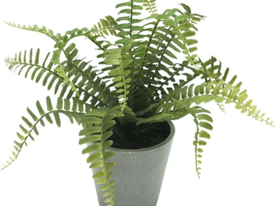 Τεχνητό Φυτό Σε Γλάστρα Φτέρη 04-00-18832 28cm Green Marhome Συνθετικό Υλικό