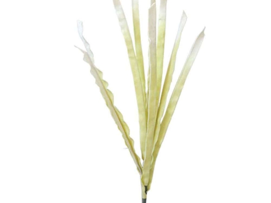 Τεχνητό Λουλούδι 00-00-1588-3 113cm Ecru Marhome Foam