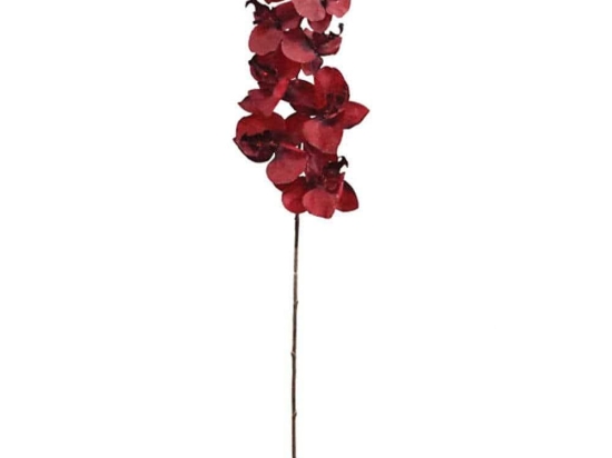 Λουλούδι - Κλαδί Ορχιδέα 99-00-17912 107cm Red Marhome