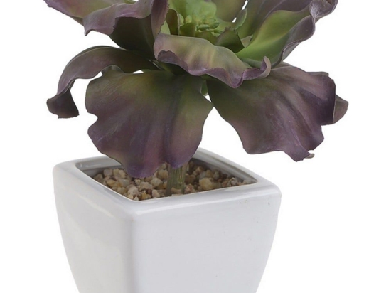 Διακοσμητικό Φυτό Σε Γλάστρα 3-85-084-0043 Green-Purple 7Χ7Χ16 Inart Πλαστικό